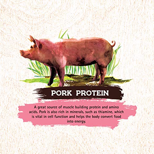 Inception Dry Dog Meat First Food Pork Recipe - Complete and Balanced Dog Food - Legume Free Meat First Dry Dog Food - 27 lb. Ba