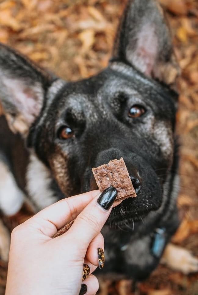 Operation Good Boy Beef Dog Treats - 1/4 High-Protein Training Squares, Natural Farm-Raised Meat for Small to Large Dogs - Freed