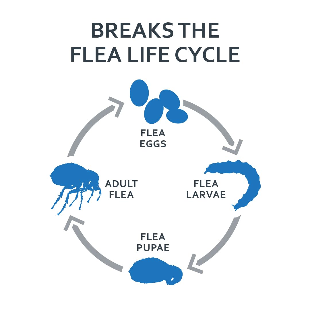 3-PACK SENTRY FiproGuard Plus Flea & Tick Spot-On for Dogs (89-132 lbs)