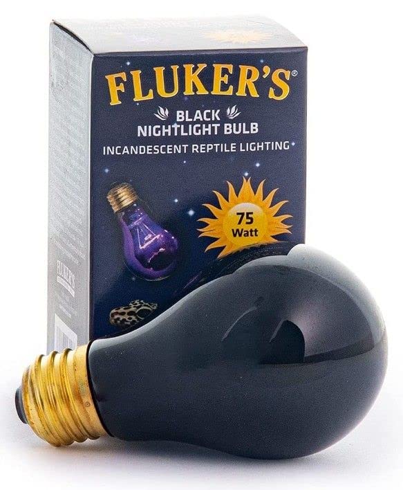 Flukers Black Nightlight Incandescent Bulb 75 Watt  Pack of 2