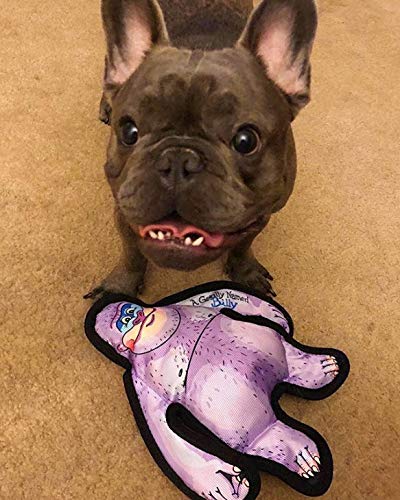 Fuzzu Durable Dog Toy With Squeaker - Tough Chew Toy, Wild Woodies - A Gorilly Named Billy, Small 6'
