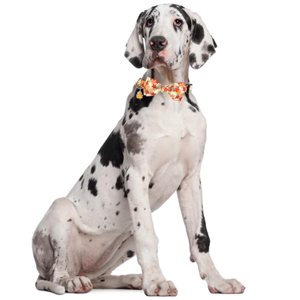 Thanksgiving Day Dog Collar Fall With Bowtie And Bell Autumn Holiday Adjustable Pet Collars For Dogs (Maple Leaf,Medium)