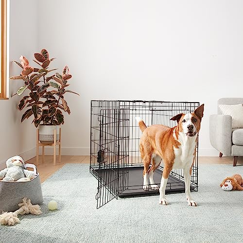 Amazon Basics Durable, Foldable Metal Wire Dog Crate With Tray, Single Door, 42 X 28 X 30 In, Black