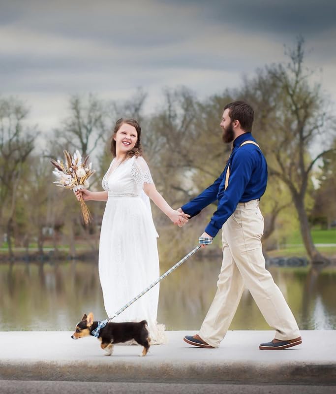 Lionet Paws Dog Leash Durable Handmade Grid Dog Leash Dog Walking Leash With Soft Handle For Cats And Small Medium Large Dogs