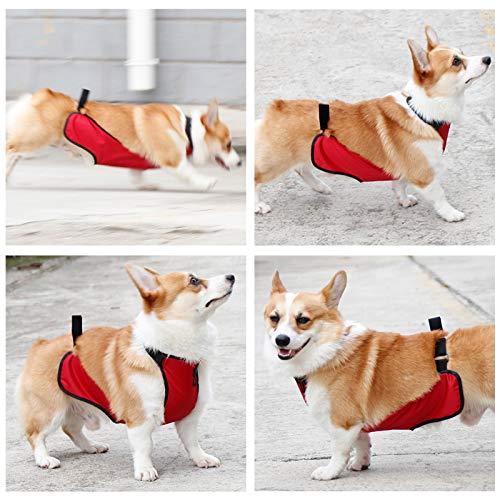 Kelendle Warm Pet Vest - Belly Cover Protector Harness for Short Leg Female Dogs & Puppies - Waterproof Pet Costume