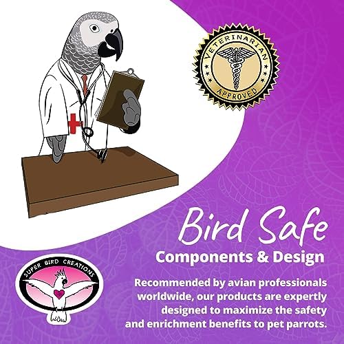 Super Bird Creations - Rainbow Bridge Bird Toy - Durable & Entertaining Bird Playground For Amazons African Greys Eclectus Cockatoos Macaws - Colorful Bird Toy For Large & Extra-Large Birds 29' X 13'