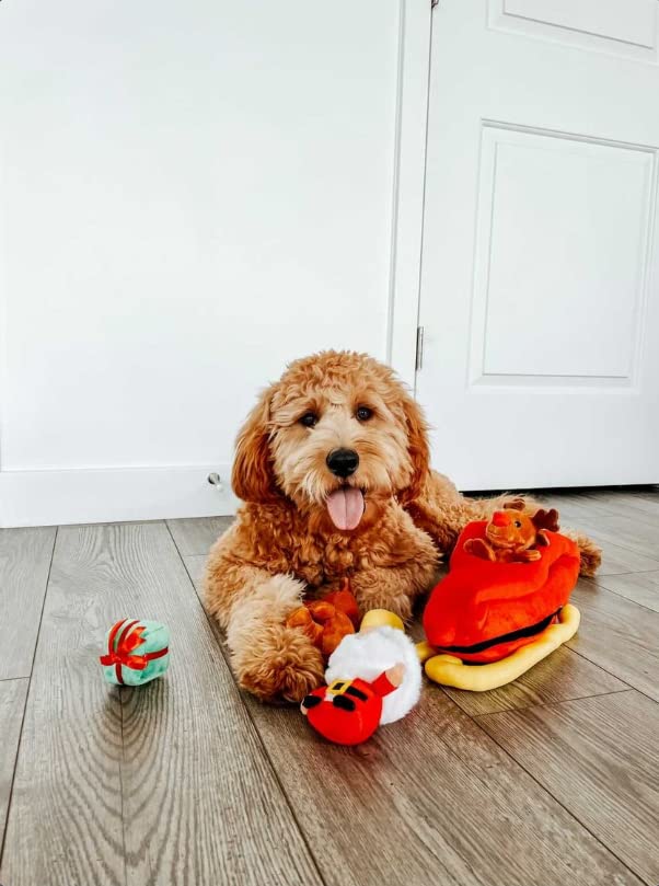 Midlee Santa Sleigh Find A Toy Christmas Dog Toy- Plush Burrow Interactive Hide & Seek Pet Holiday Toy
