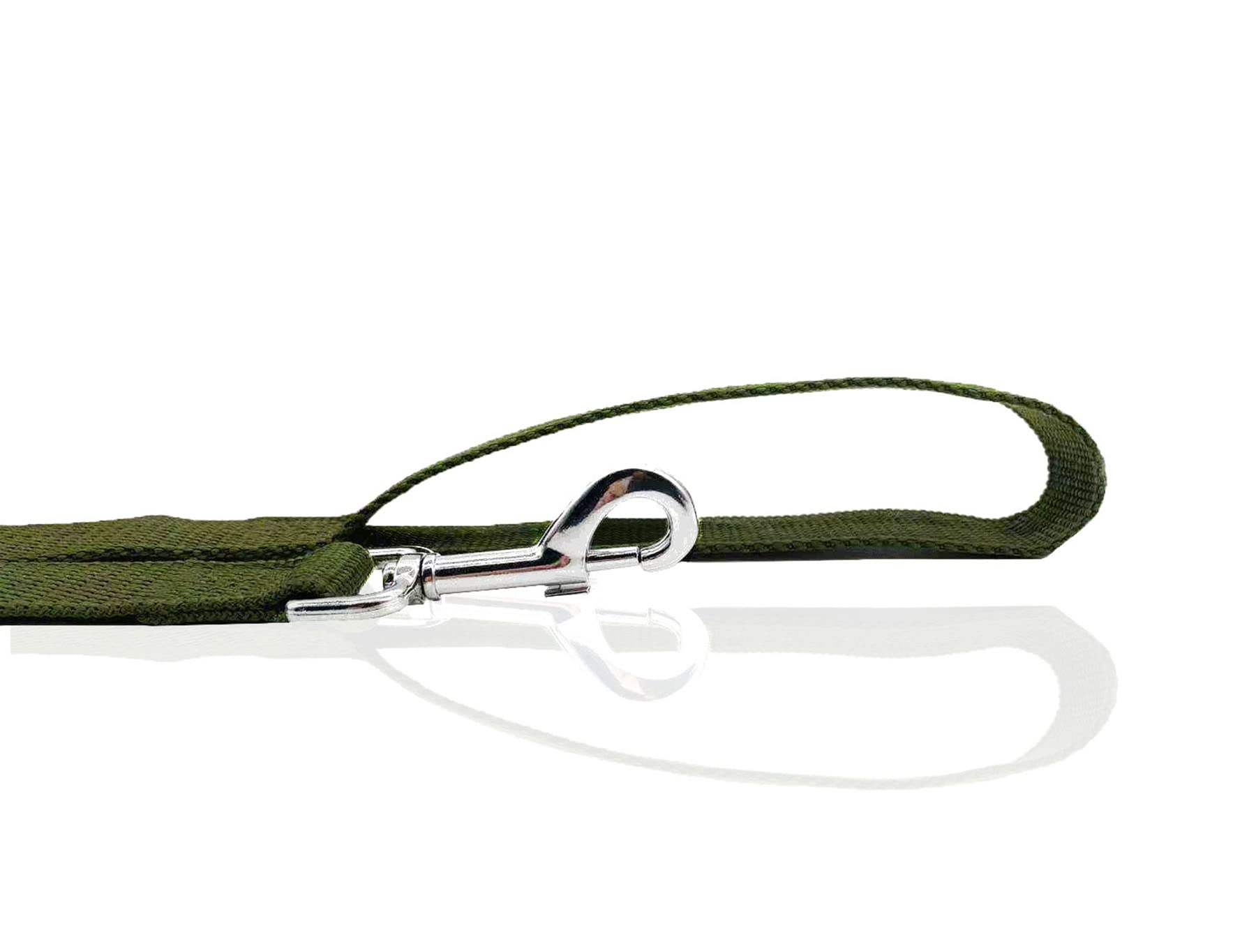 Nylon Dog Leash 4 Ft 5 Feet 6 Foot Long, Walking Training Dog Leashes For Medium Large Dogs, 1 Inch Wide (1'' X 6 Ft, Green)