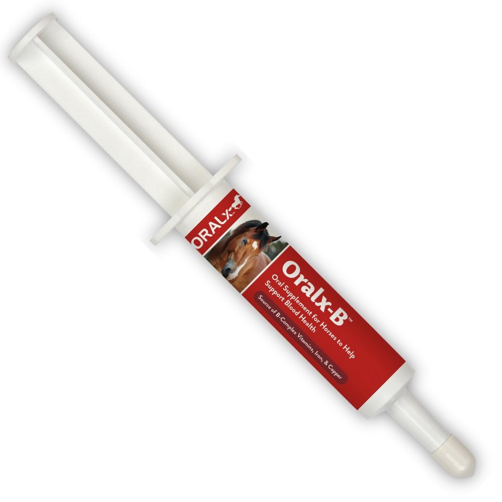 Oralx-B High-Potency B-Vitamin Complex and Chelated Mineral Booster. Nutritional Supplement for Hard-Working Horses. Oral Paste 