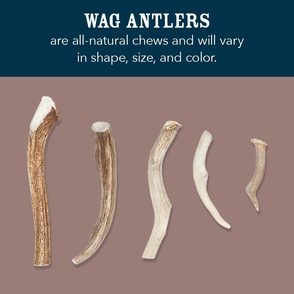 Amazon Brand - Wag Dog Deer Antler Chew, Naturally Shed, Whole, Large 8-9.5 inches, Long Lasting for Aggressive Chewers, Best fo