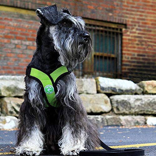 Gooby - Comfort X Step-in Harness, Choke Free Small Dog Harness with Micro Suede Trimming and Patented X Frame, Pink, Small