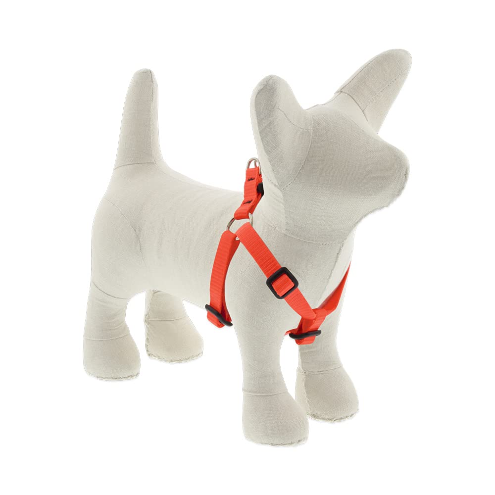 Small Adjustable Step in Dog Harness by Lupine 1/2'' Wide Blaze Orange with 12-18'' Adjustable Girth