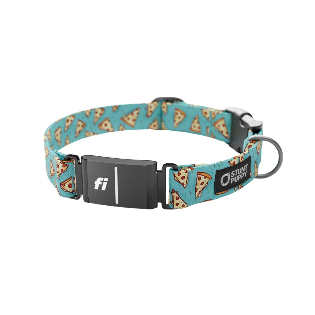 Stunt Puppy Dog Collar, Fi Series 3 Ready, Jill Kittock Pizza, Medium - Compatible With Fi Gps Device (Not Included)