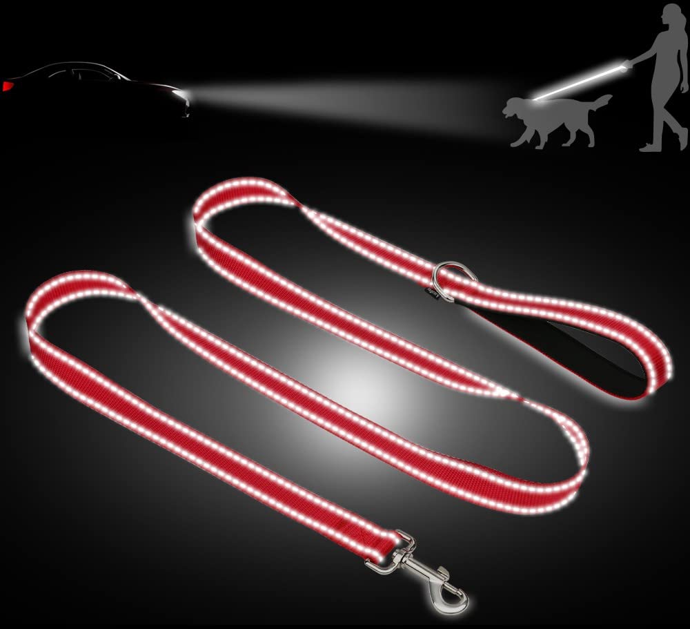 Taglory Nylon Dog Leash 6Ft, Soft Padded Handle Pet Reflective Leashes For Puppy Small Medium Dogs Walking & Training, Red