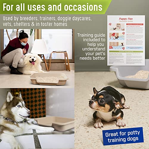 Puppygohere Dog Litter Box, Large Size, Misty Gray, Durable & Pet Safe, Indoor Open Top Entry Litter Pan, Comfortable For Puppy, Great For Dogs Up To 20 Lbs