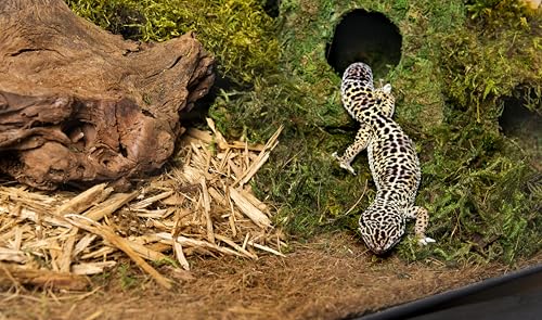 Galápagos (05056) Cypress Tank-Mulch Woodland Bedding For Reptiles & Amphibians, Eco-Friendly, High Absorbency, Dust-Free Perfect For Bearded Dragons, Tortoises, Snakes, & More, 24Qt