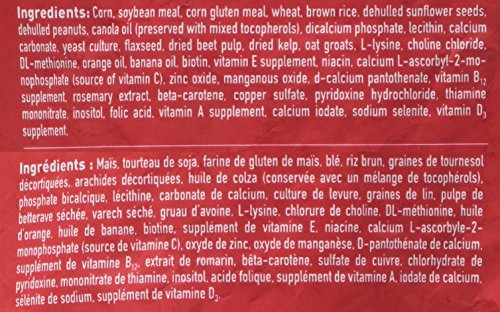 Hari Hagen Tropican High Performance Parrot Food, 3.3 ib Parrot Sticks with Peanuts & Sunflower Seeds and Higher Nutrition Level