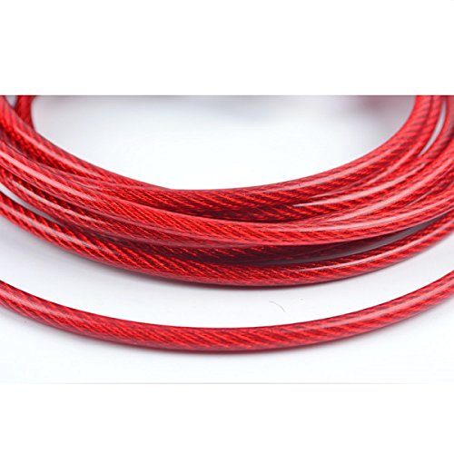 Stainless Steel Pet Dog Tie Out Cable - Double Head Dog Leash Camping Outdoor Tie-Out Cable For Medium Large Pet Dogs (5M/16Ft, Red)