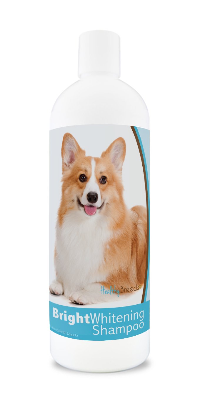 Healthy Breeds Pembroke Welsh Corgi Bright Whitening Shampoo 12 Oz