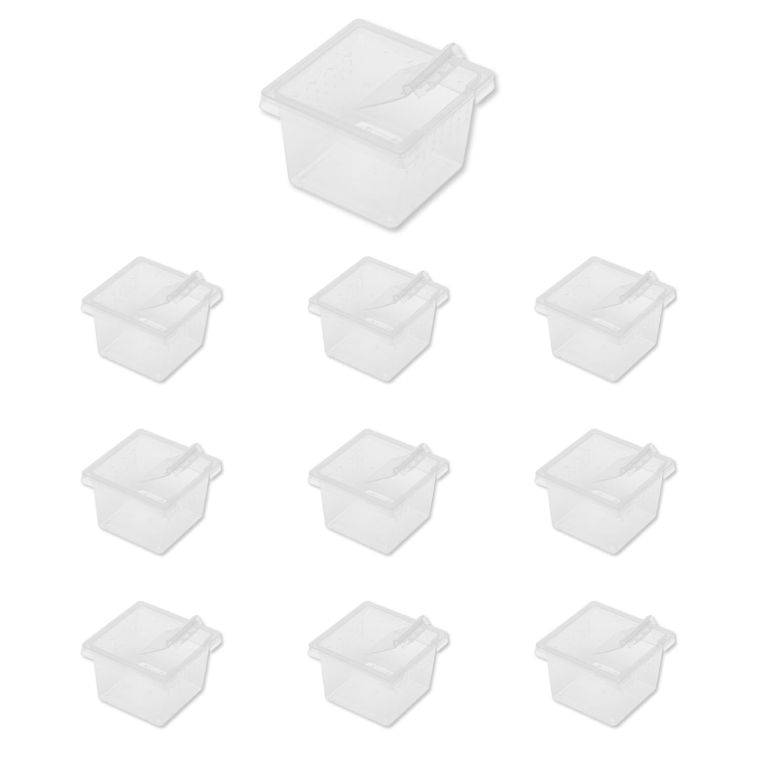 Jungle Bob - Clear Plastic Reptile Terrarium Box - Easy Transportation - Enclosure For Small Herps - Side Ventilation - Clear Vi