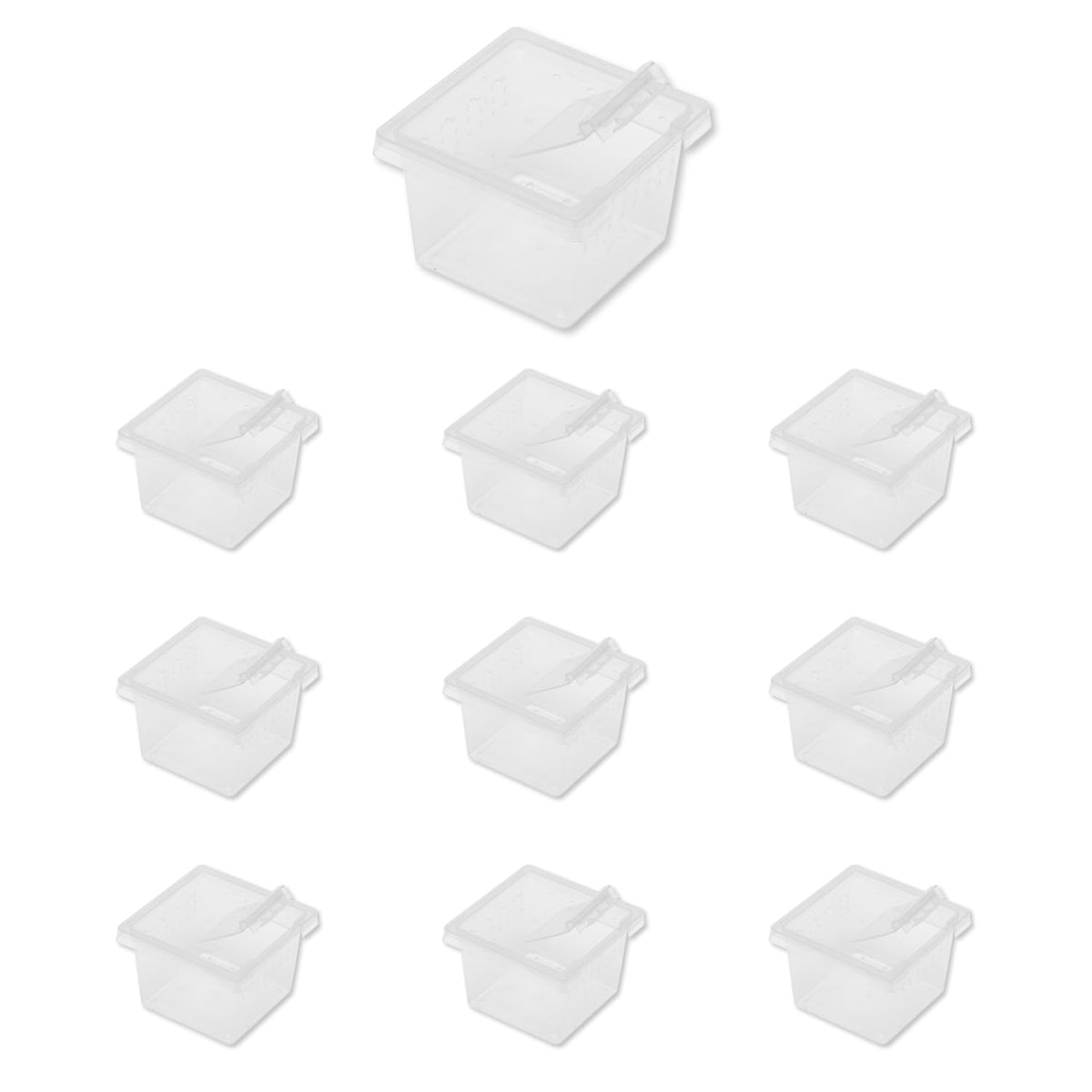 Jungle Bob - Clear Plastic Reptile Terrarium Box - Easy Transportation - Enclosure For Small Herps - Side Ventilation - Clear Vi