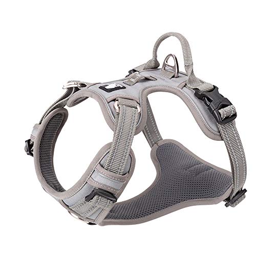 True Love Dog Harness No Pull Nylon Reflective Pet Harness Adjustable Comfortable Control Step-In Brilliant Colors Truelove Tlh56512 Gray