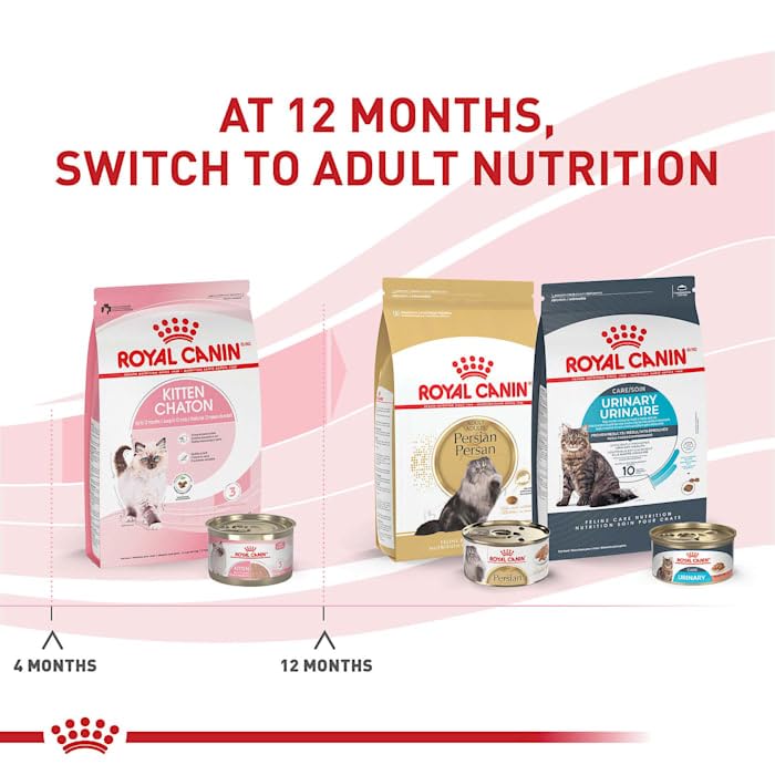 Royal Canin Feline Health Nutrition Dry Kitten Food, Supports Digestive Health, Immune Support and Healthy Energy, 14 lb Bag