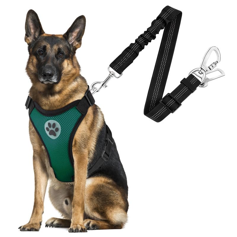Slowton Dog Seat Belt Harness For Car, Dog Car Harness Adjustable Mesh Breathable & Dog Seatbelt Safety Tether With Elastic Bungee For Small Medium Large Pets(Green, Double Clip, L)