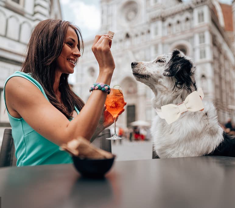 Dogwong Cotton Dog Collar With Bow, White Pet Collar Wedding Dog Collar Durable Adjustable Dog Collar For Small Medium Large Dog