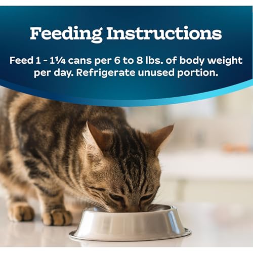 Blue Buffalo Tastefuls Wet Cat Food Pat  , Made with Natural Ingredients, Turkey and Chicken Entr  e, 5.5-oz Cans (24 Count)