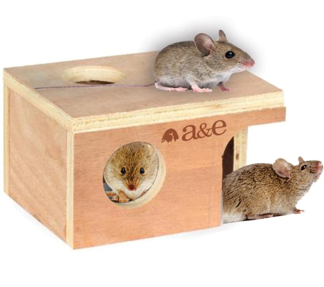 A&E Cage Company 52400899: Animal Hut Mouse Or Rats Sm