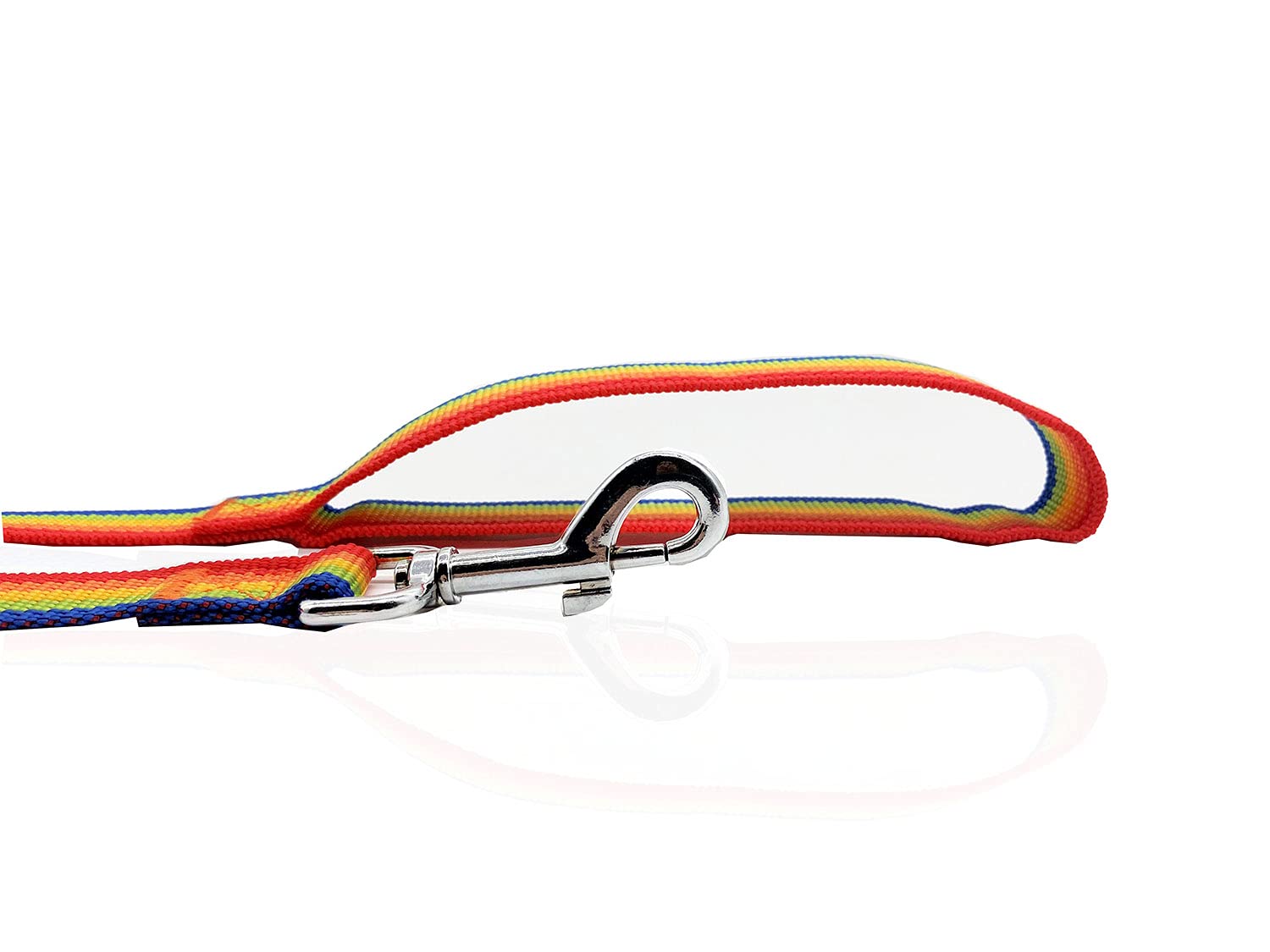 Nylon Dog Leash 16 Feet Long, Walking Training Dog Leashes For Medium Large Dogs(1'' X 16 Ft,Rainbow)
