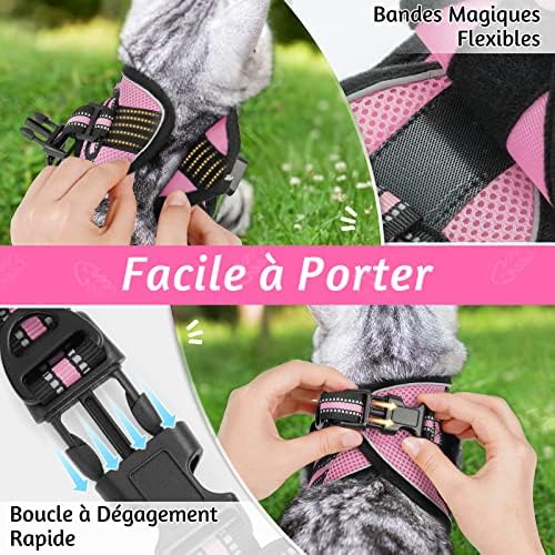 Rabbitgoo Cat Harness And Leash Set For Walking Escape Proof, Adjustable Soft Kittens Vest With Reflective Strip For Cats, Comfortable Outdoor Vest, Pink, M