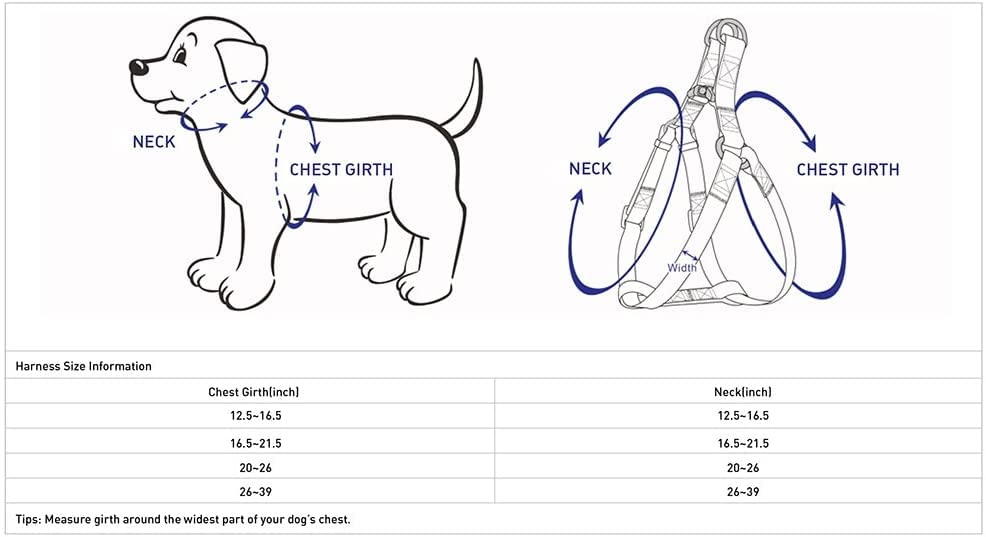 Blueberry Pet Essentials Classic Durable Solid Nylon Step-In Dog Harness, Chest Girth 26' - 39', Mint Blue, Large, Adjustable Harnesses For Puppy Boy Girl Dogs