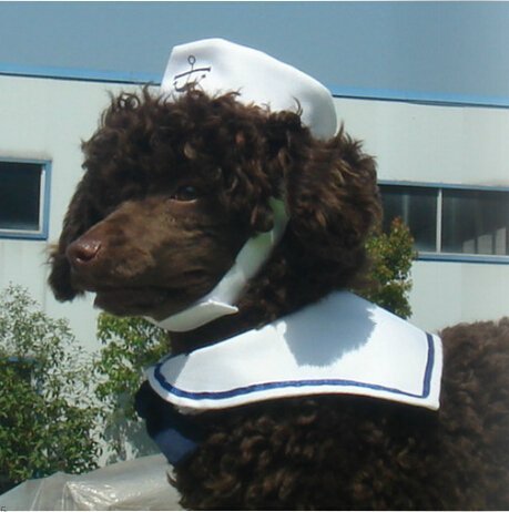 Dogs Kingdom Cat Dog Sailor Costume Hat Navy Tie Pet Sailor Costume Set White One Size