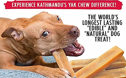 Authentic Himalayan Yak Cheese for Dogs - Large/XLarge (Pack of 4) - Sourced from Pristine Himalayan Foothill, Rawhide-Free, NO