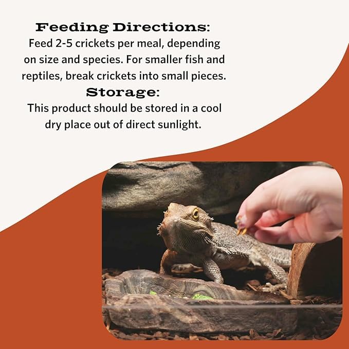 Flukers Freeze Dried Crickets, Ideal for Reptiles, Birds, and Fish, Packed with Protein and Essential Nutrients, 1.2 oz