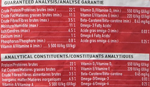 Hari Hagen Tropican High Performance Parrot Food, 3.3 ib Parrot Sticks with Peanuts & Sunflower Seeds and Higher Nutrition Level