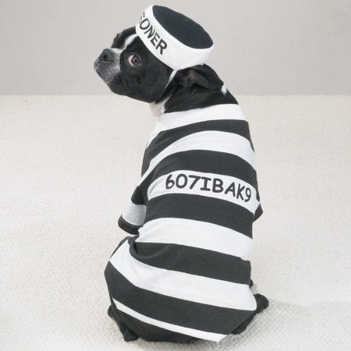 Casual Canine Prison Pooch Costume, X-Small