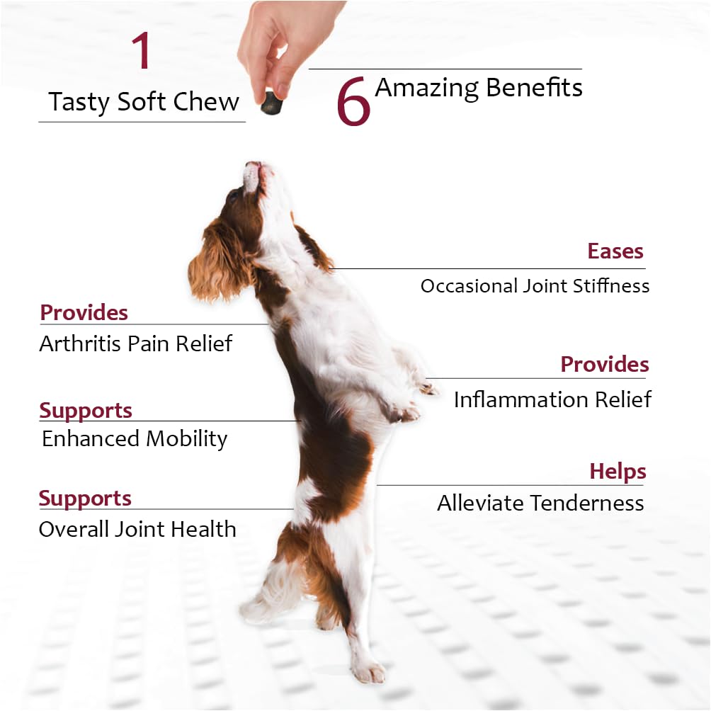Joint MAX TS Joint Supplement Vet Formulated Pain & Inflammation Relief Treats Hip Dysplasia & Arthritis.Glucosamine, Chondroiti