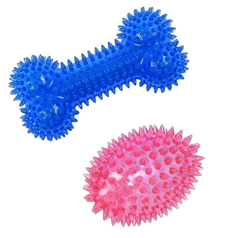 Dog Trust Spike Dental Chew Toy For Dogs (Combo Of 2) Squeaky Spike Bone + Spike Rugby Dental Chew Toy For Dogs Suitable For Lar