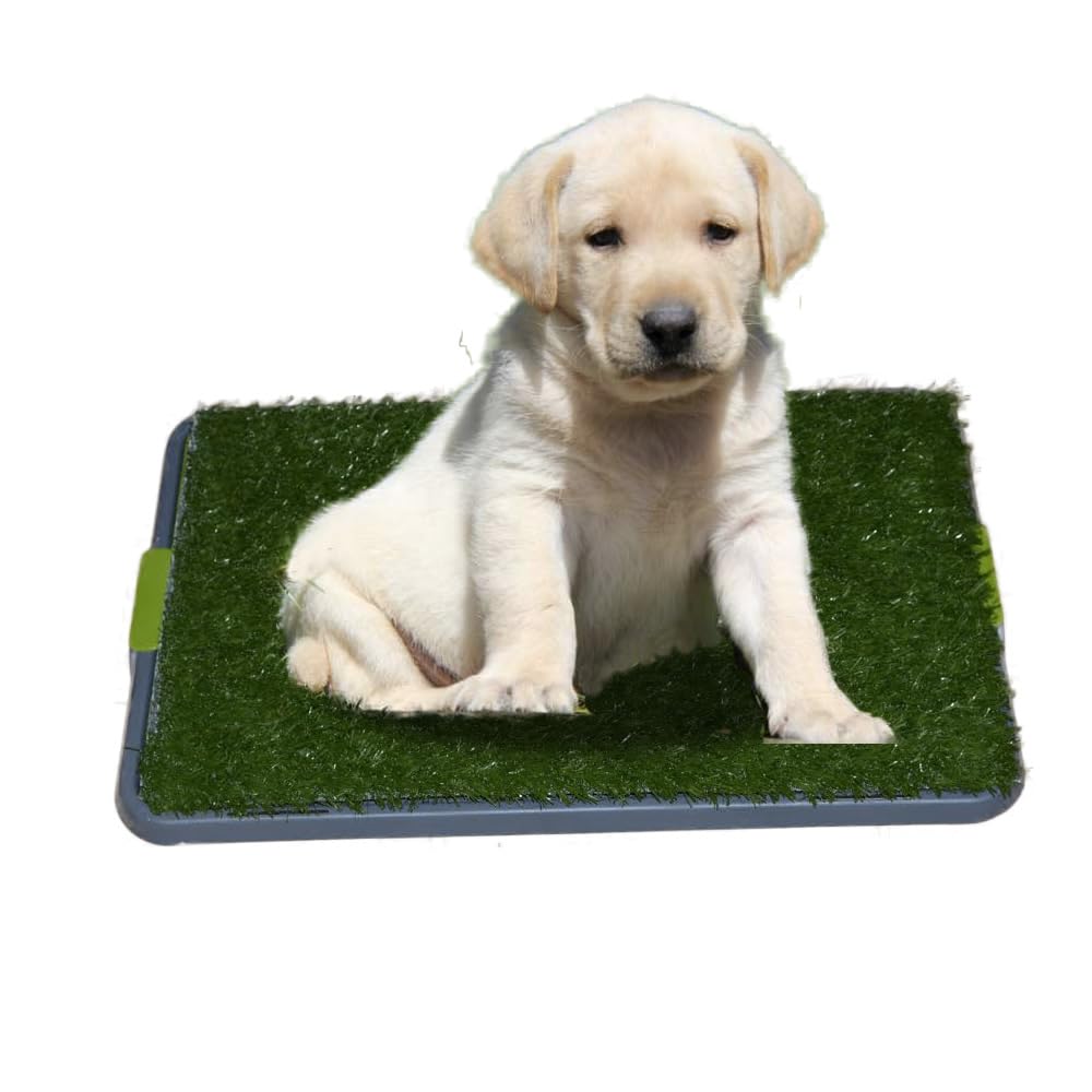 Dog Potty With Artificial Grass-Reusable 3-Layer Synthetic Training Tray That Acts Like A Dog Litterbox-Fake Grass That Dogs Prefer Over Dog Pee Pads Or Puppy Pad