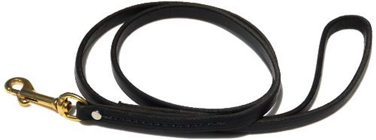 Ray Allen Mfg Signature K9 Standard Leather Leash, 4-Feet x 1/2-Inch, Black