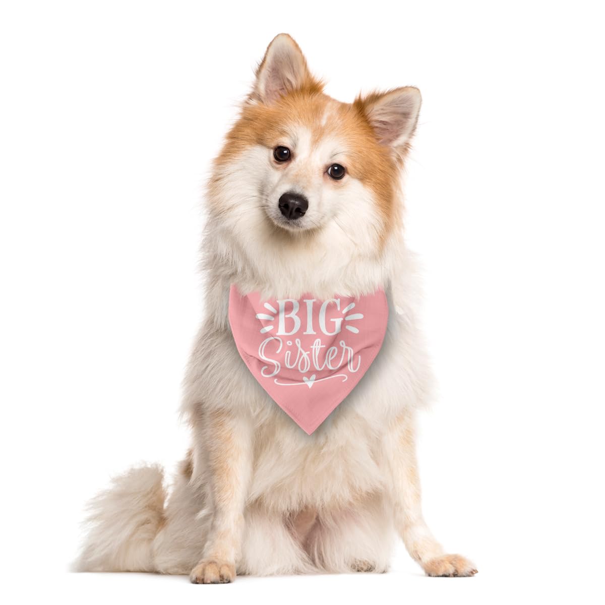Big Sister Dog Bandana, Dog Bandana, Pink Pet Dog Scarf Accessories, Pet Dog Triangle Scarf, Dog Bandana For Large Dogs, Baby An