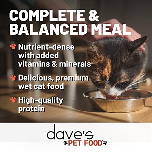 Daves Pet Food Grain Free Wet Cat Food (Shredded Salmon in Gravy), Made in Canada Naturally Healthy Canned Cat Food, Added Vita