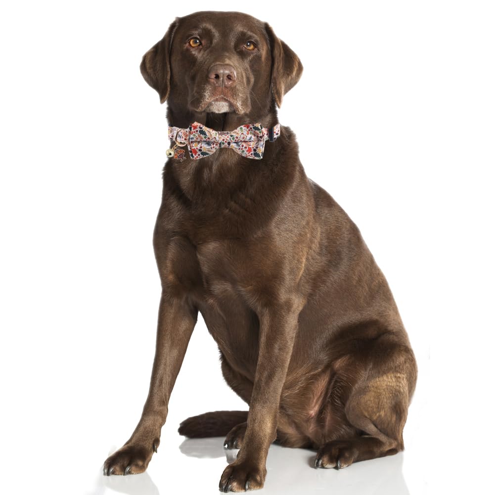 Thanksgiving Day Dog Collar Fall With Bowtie And Bell Autumn Holiday Adjustable Pet Collars For Dogs (Turkey,Large)