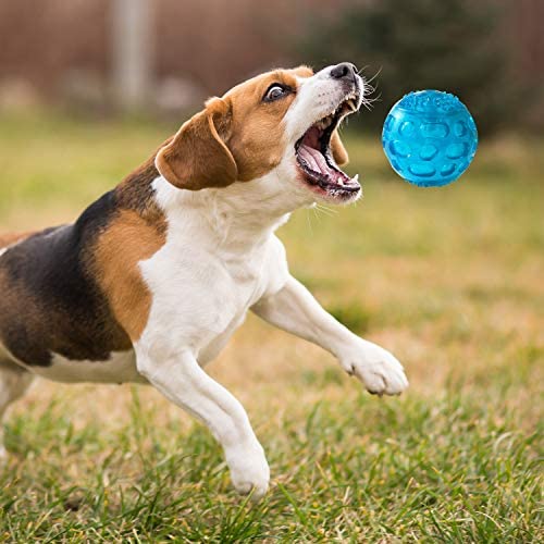 Pjdh 2 Packs Dog Ball Toys For Dog, 3.2 Inches Indestructible Dog Fetch Ball Kong Squeaky Ball For Training Playing, Blue+Green