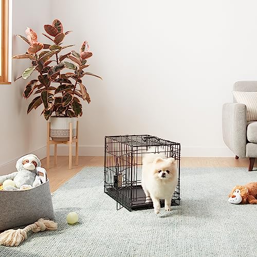 Amazon Basics Durable,Foldable Metal Wire Dog Crate With Tray, Double Door, Divider, 22 X 13 X 16 In, Black