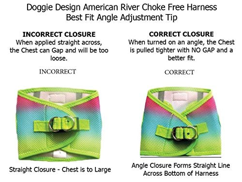 Doggie Design No Choke Dog Harness - Simple Step-in and Go Dog Vest for Small, Medium, and Large Breeds - Breathable Mesh Polyester Pet Harness - Aruba Blue - S