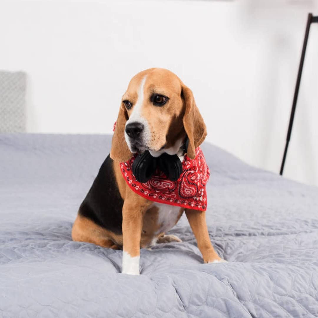 3 Pack Mechaly Dog Bandana Neck Scarf Paisley Cotton Bandanas - Any Pets (Hot Pink)